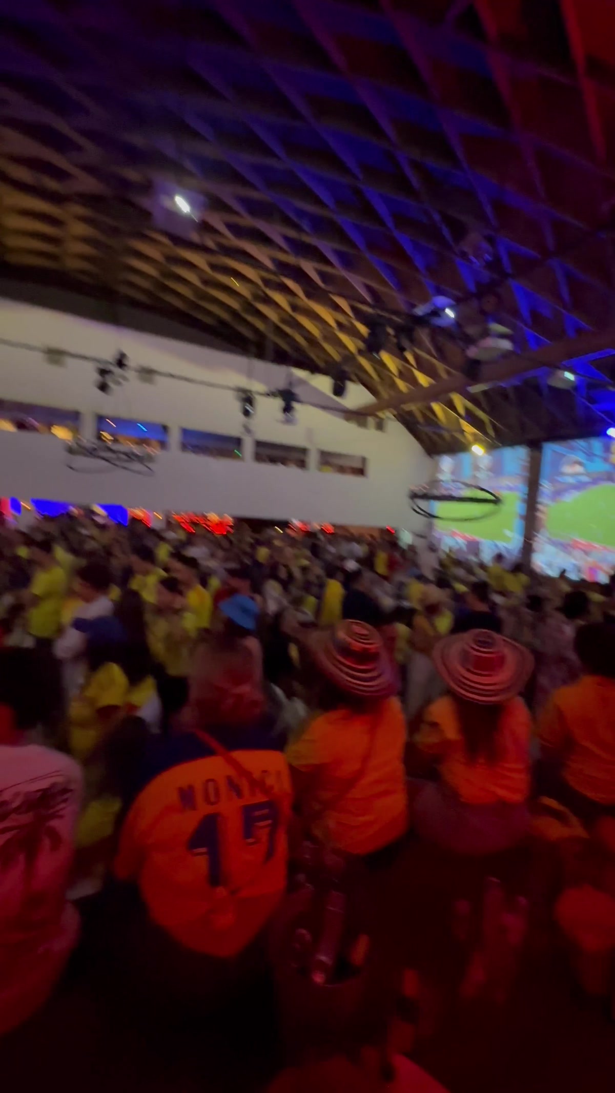 Fans celebrating a goal